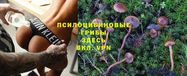 спиды Алексеевка