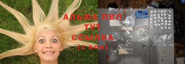 спиды Алексеевка