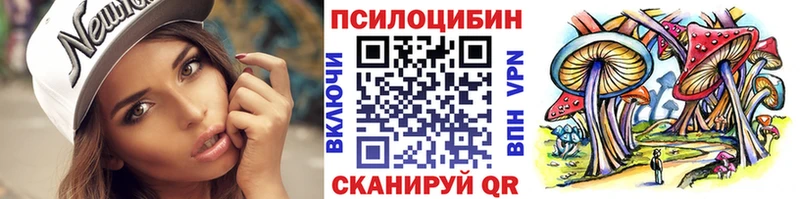 Галлюциногенные грибы Psilocybe Мичуринск